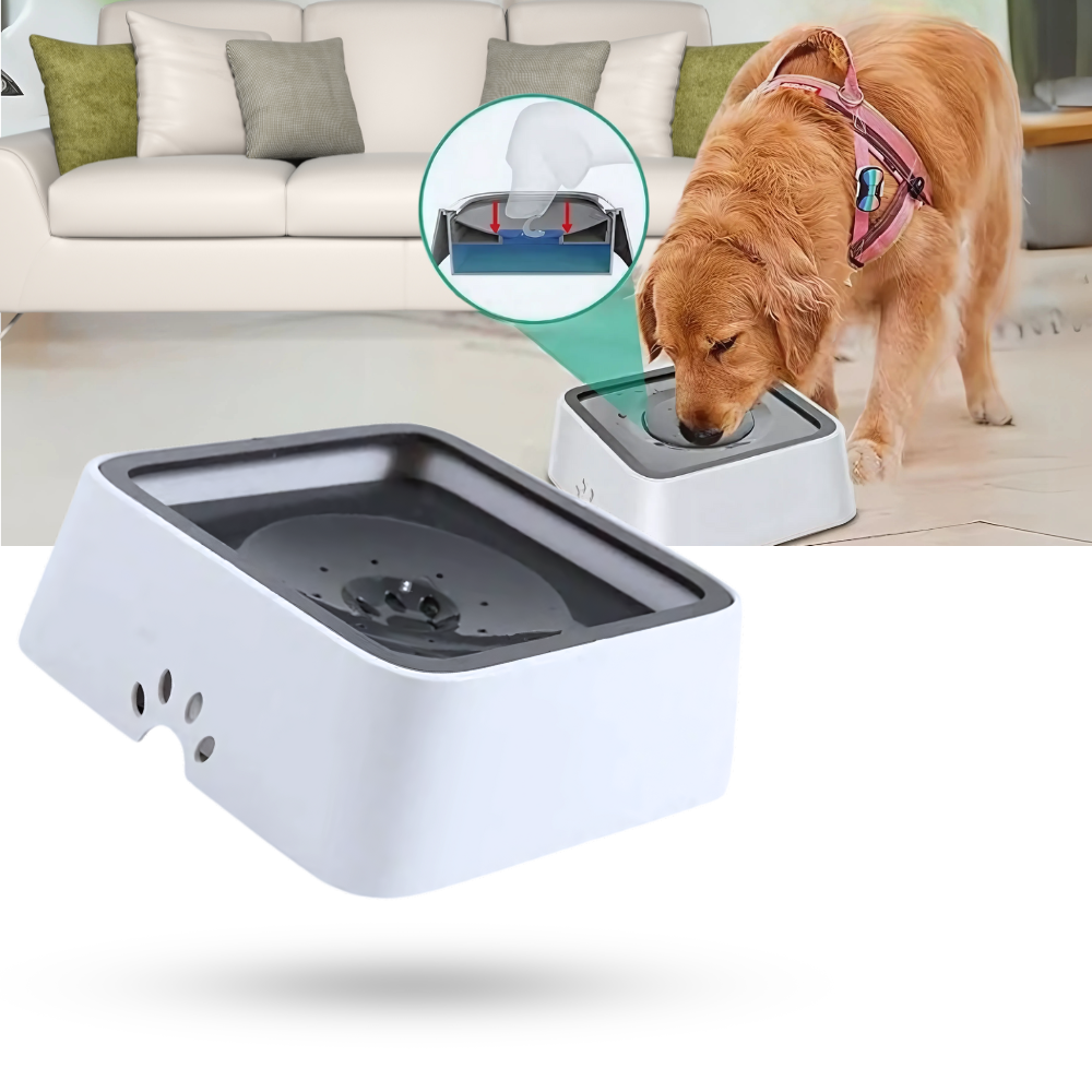 Splash-Free Water Bowl For Dogs - Ozerty